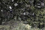 Black Andradite (Melanite) Garnet Cluster - Morocco #107907-2
